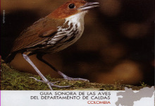 Aves de Caldas