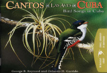 Bird Songs in Cuba