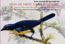 Aves de Santa Marta